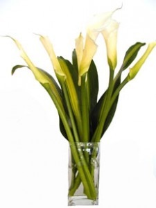 SKU 55 Exotic Cala Lilies glass vase
