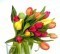 SKU 71 Awesome tulips on glass vase